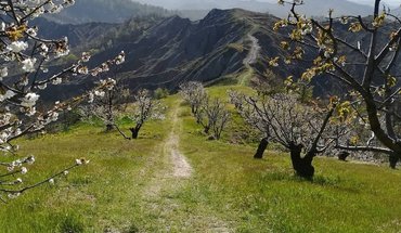 Podere la piana