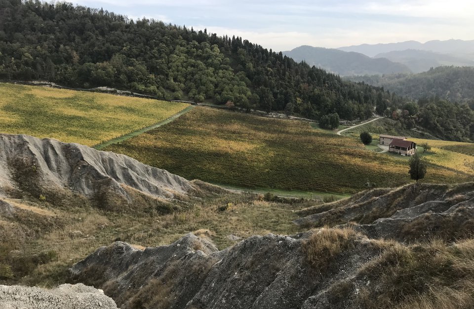 Calanchi di Montemaggiore
                                