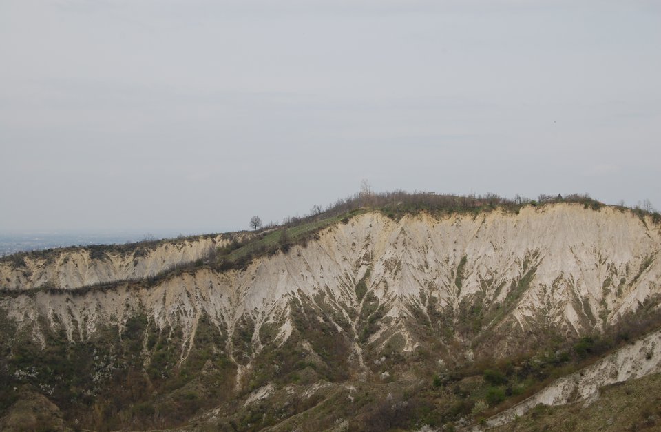 Calanchi della Balena
                                