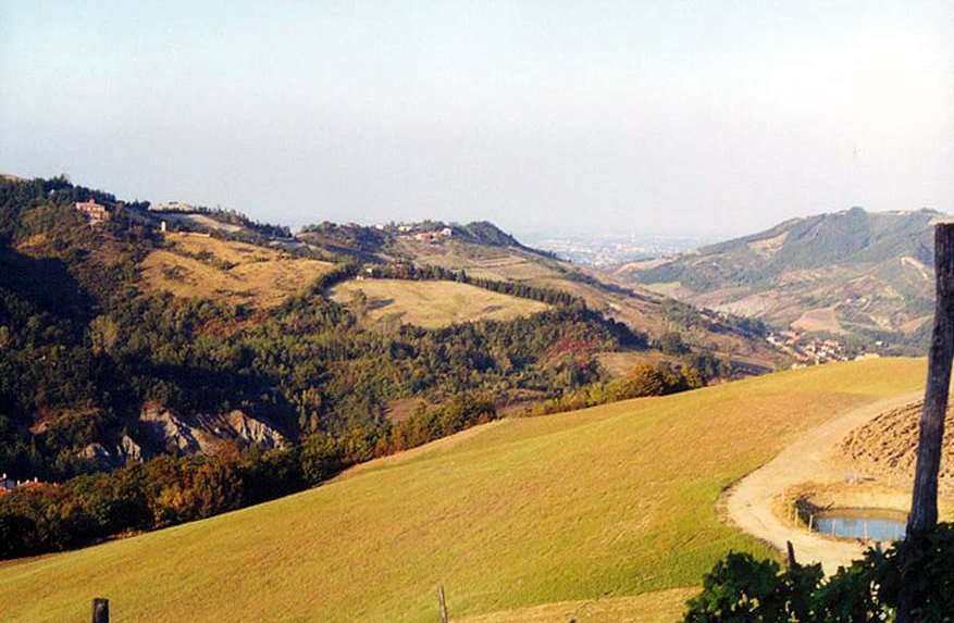 panorama
                                