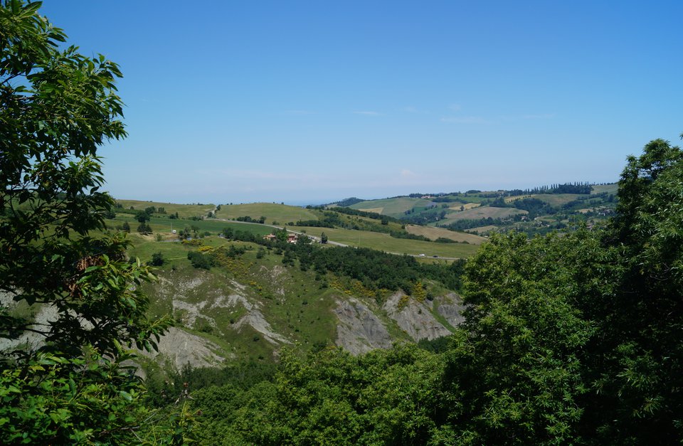 Panorama con ginestre
                                 Foto di: Mirko Bettini